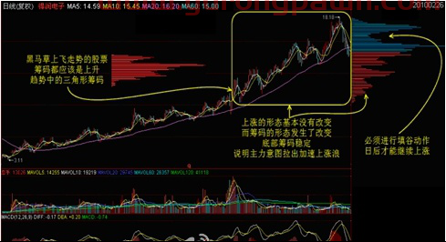 干货分享！史上最全最好最赚钱的筹码学精讲！