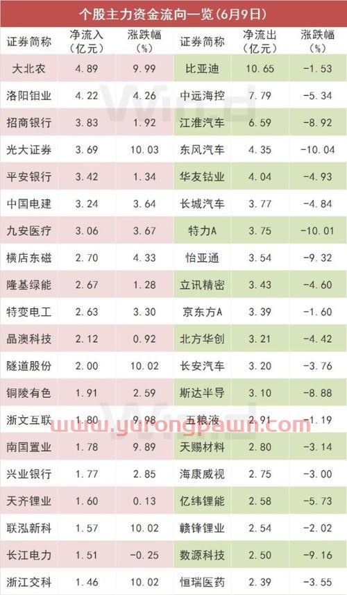 集成电路龙头股票有哪些
