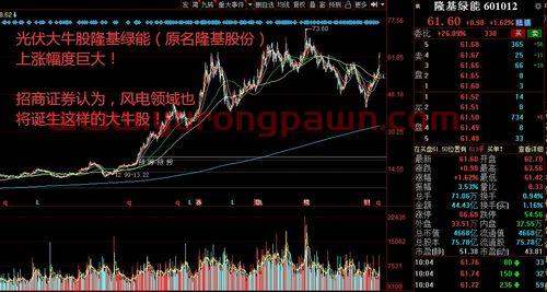 金龙鱼股吧